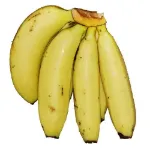 Picture of Baby Banana - 1 kg